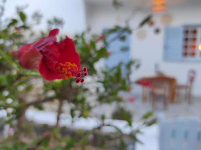 Olive Grove Soulis Family Estate Vila Porto Heli Exterior foto